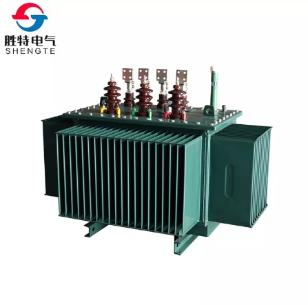 Oil Immersed Transformer photo (2)