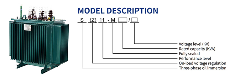 Model Description S11