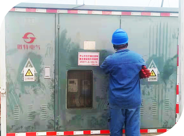 Worker Inspecting Distribution Transformer