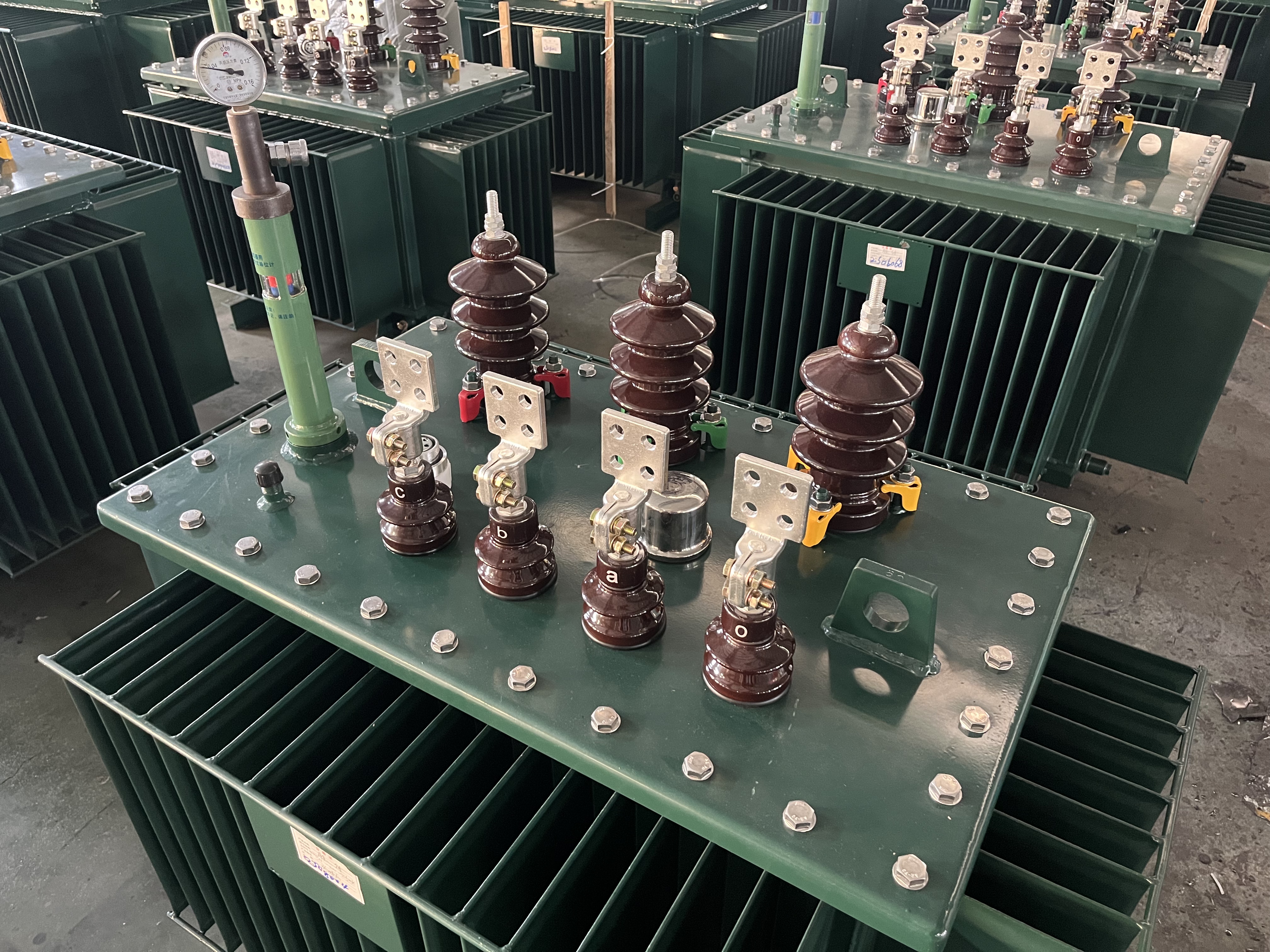 The Powerful Engine of the Power Heart: Oil Immersed Transformers
